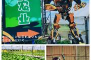 坦洲走什么景点好玩(坦洲哪里好玩的景点)