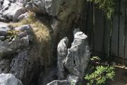 耿马娘子寨有什么景点(云南临沧耿马县安全吗)