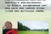 呼市公园有哪些景点(呼市公园都有哪些)