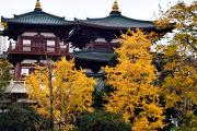 来宾冬至怎么过节景点(来宾市未来30天有霜冻吗)