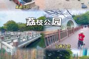 荔枝花园哪里好玩(荔枝坏了的图片一大堆)