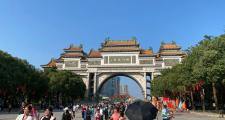 顺德景区哪里好玩(顺德哪个景点最值得玩)