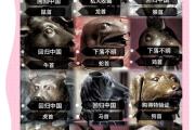 圆明园属什么生肖的景点(圆明园的十二生肖的来历)