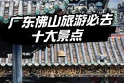 佛山有味道的景点吗(佛山有味道的景点吗在哪里)