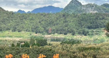 恭城哪里好玩免费(恭城哪里好耍)