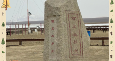 格尔木有哪里好玩(格尔木市区哪里好玩)