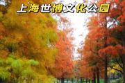 上海哪些公园不收费景点(上海哪些公园不收费景点好玩)