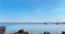 武汉东湖景区能打车吗(开车去武汉东湖玩车停哪里)