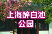 上海哪些公园不收费景点(2021年上海哪些公园免费)