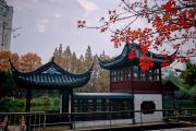 上海哪些公园不收费景点(2021年上海哪些公园免费)