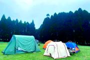 大容山周边哪里好玩(大容山森林公园附近景点)