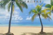 春节哪里去三亚好玩(三亚过年去哪旅游好玩又便宜)