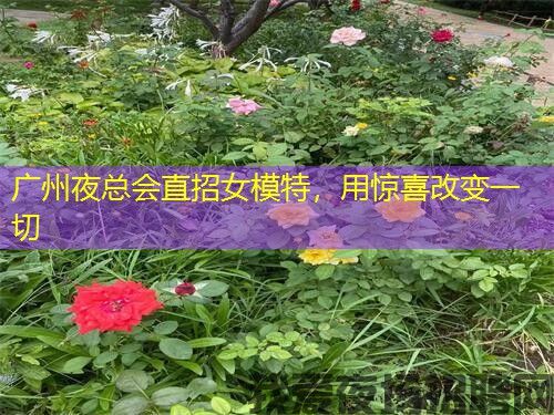 广州夜总会直招女模特，用惊喜改变一切