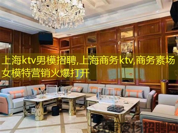 上海ktv男模招聘,上海商务ktv,商务素场女模特营销火爆打开