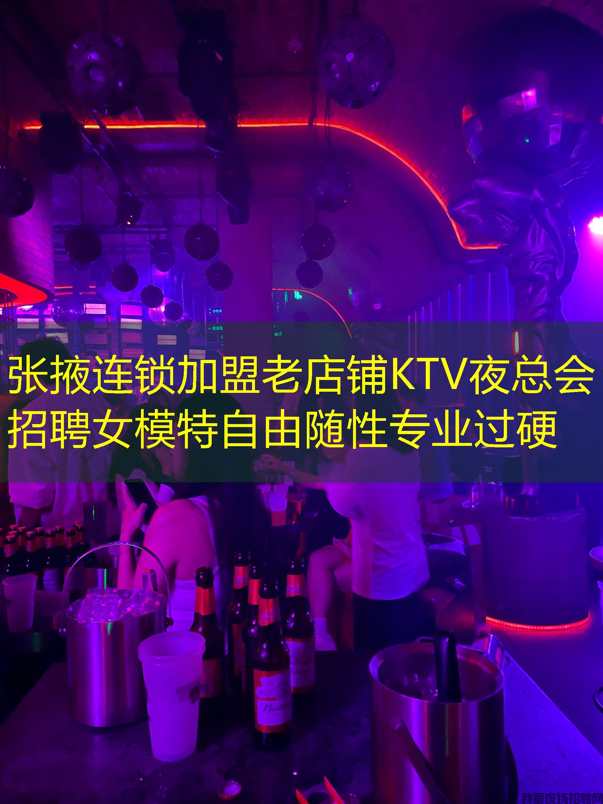 张掖连锁加盟老店铺KTV夜总会招聘女模特自由随性专业过硬