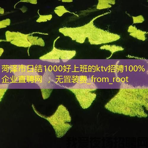 菏泽市日结1000好上班的ktv招骋100%企业直聘网 ，无置装费_from_root