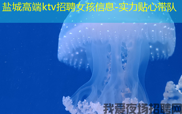 盐城高端ktv招聘女孩信息-实力贴心带队