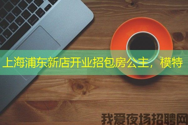 上海浦东新店开业招包房公主，模特