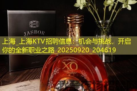 上海_上海KTV招聘信息：机会与挑战，开启你的全新职业之路_20250920_204619