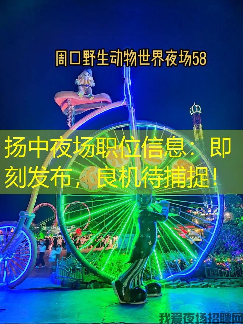 扬中夜场职位信息：即刻发布，良机待捕捉！