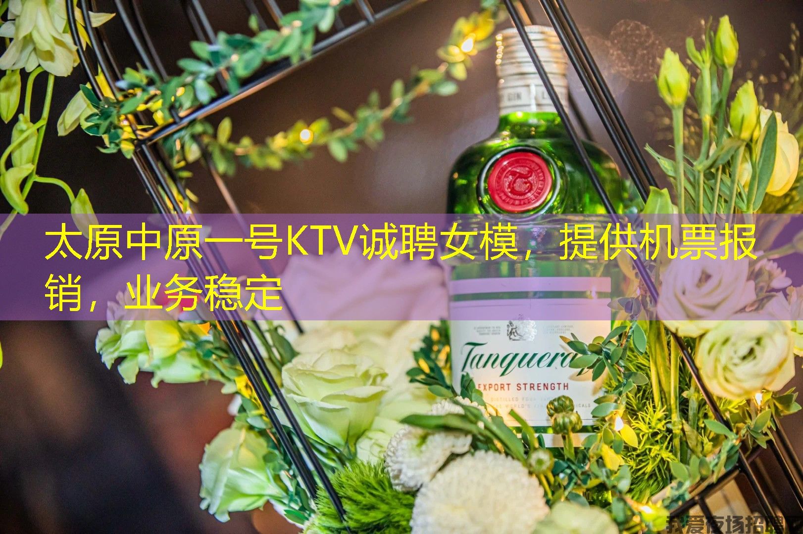 太原中原一号KTV诚聘女模，提供机票报销，业务稳定