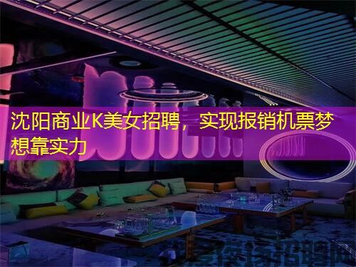 沈阳商业K美女招聘，实现报销机票梦想靠实力