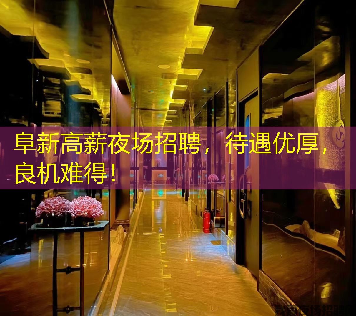 阜新高薪夜场招聘，待遇优厚，良机难得！