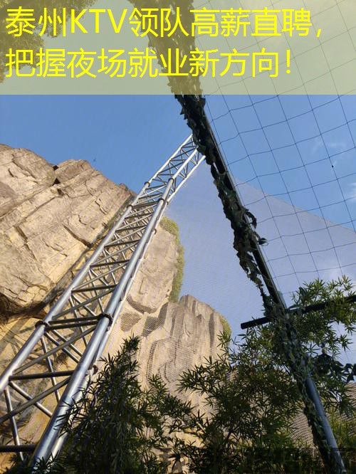 泰州KTV领队高薪直聘，把握夜场就业新方向！