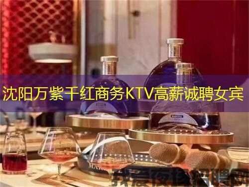沈阳万紫千红商务KTV高薪诚聘女宾
