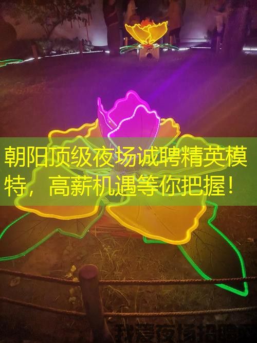 朝阳顶级夜场诚聘精英模特，高薪机遇等你把握！
