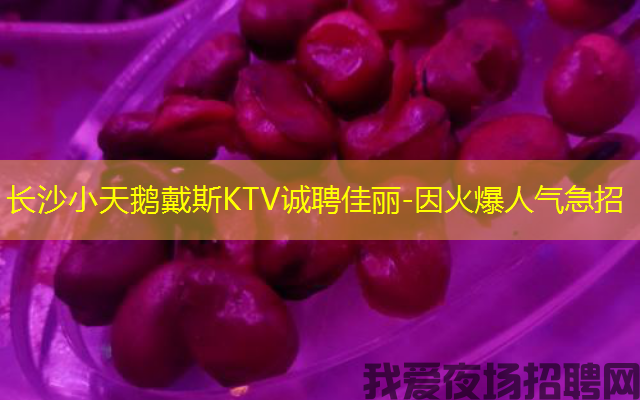 长沙小天鹅戴斯KTV诚聘佳丽-因火爆人气急招 长沙小天鹅戴斯KTV诚聘佳丽-因火爆人气急招