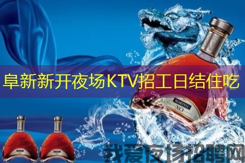 阜新新开夜场KTV招工日结住吃 阜新新开夜场KTV招工日结住吃