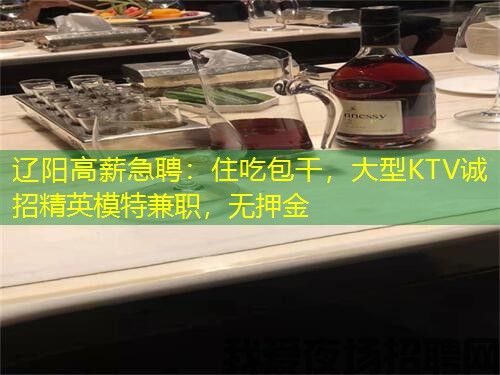 辽阳高薪急聘:住吃包干,大型KTV诚招精英模特兼职,无押金 辽阳高薪急聘:住吃包干,大型KTV诚招精英模特兼职,无押金