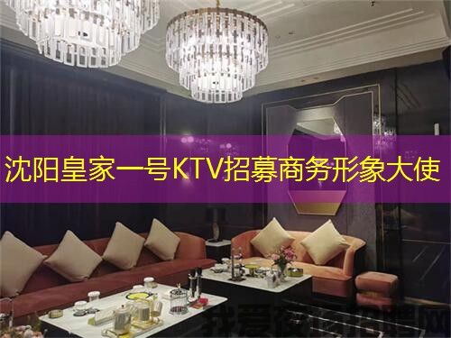 沈阳皇家一号KTV招募商务形象大使 沈阳皇家一号KTV招募商务形象大使