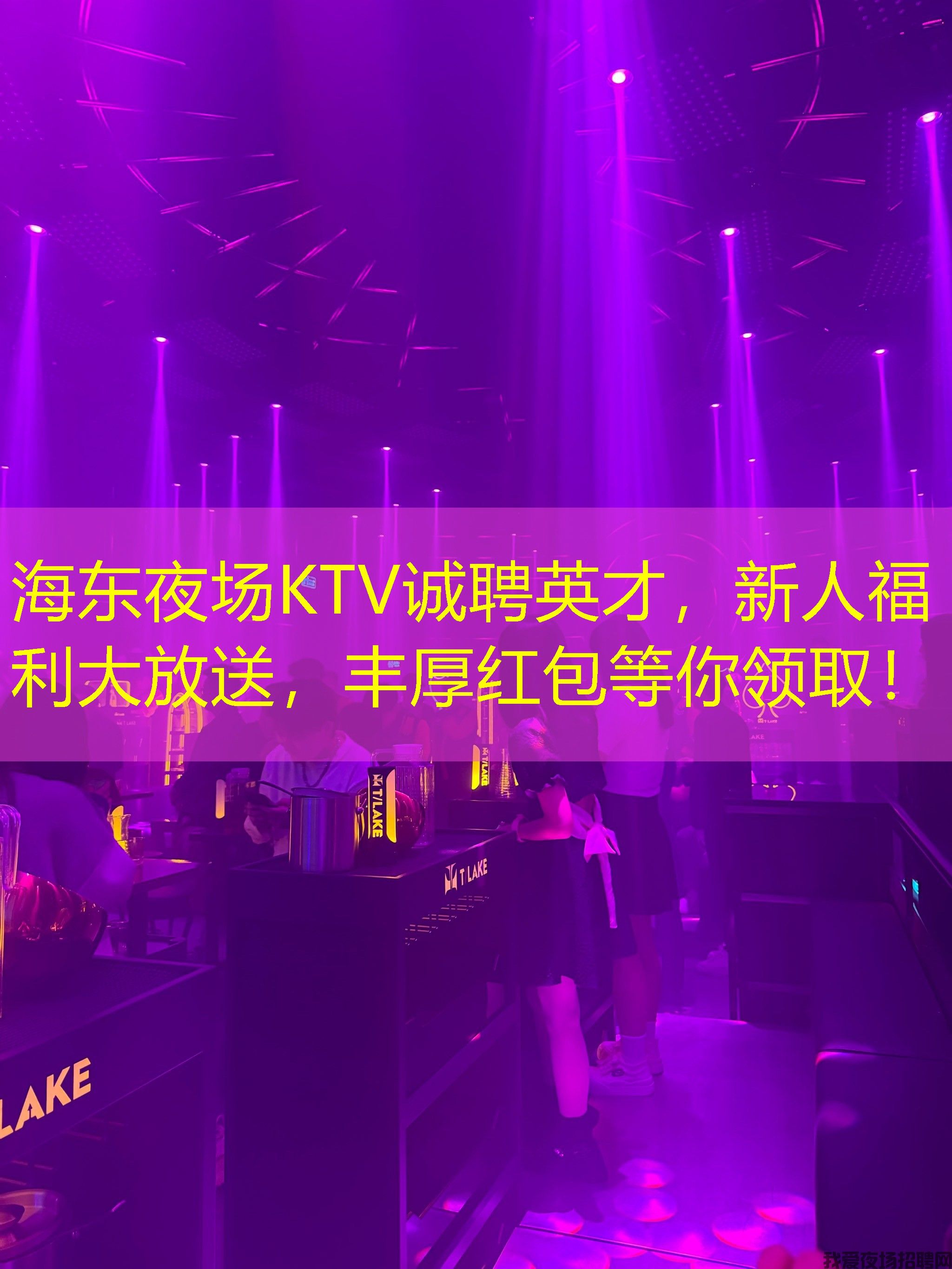 海东夜场KTV诚聘英才,新人福利大放送,丰厚红包等你领取! 海东夜场KTV诚聘英才,新人福利大放送,丰厚红包等你领取!