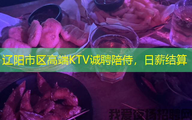 辽阳市区高端KTV诚聘陪侍，日薪结算