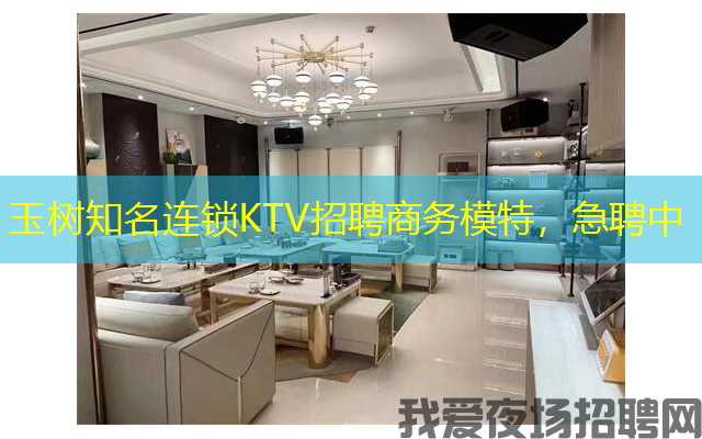 玉树知名连锁KTV招聘商务模特，急聘中