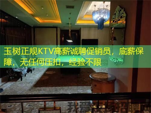 玉树正规KTV高薪诚聘促销员,底薪保障,无任何压扣,经验不限 玉树正规KTV高薪诚聘促销员,底薪保障,无任何压扣,经验不限