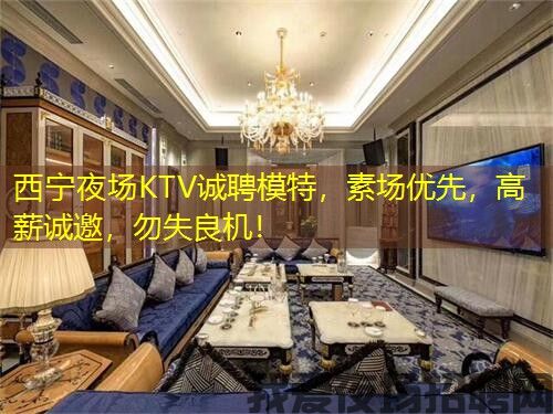 西宁夜场KTV诚聘模特,素场优先,高薪诚邀,勿失良机! 西宁夜场KTV诚聘模特,素场优先,高薪诚邀,勿失良机!