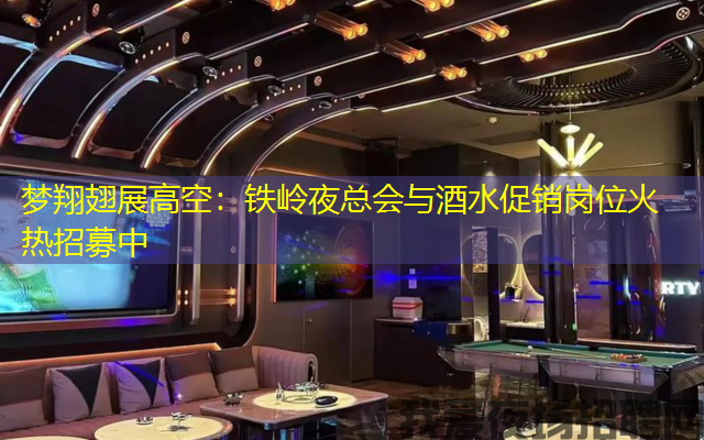 梦翔翅展高空:铁岭夜总会与酒水促销岗位火热招募中 梦翔翅展高空:铁岭夜总会与酒水促销岗位火热招募中