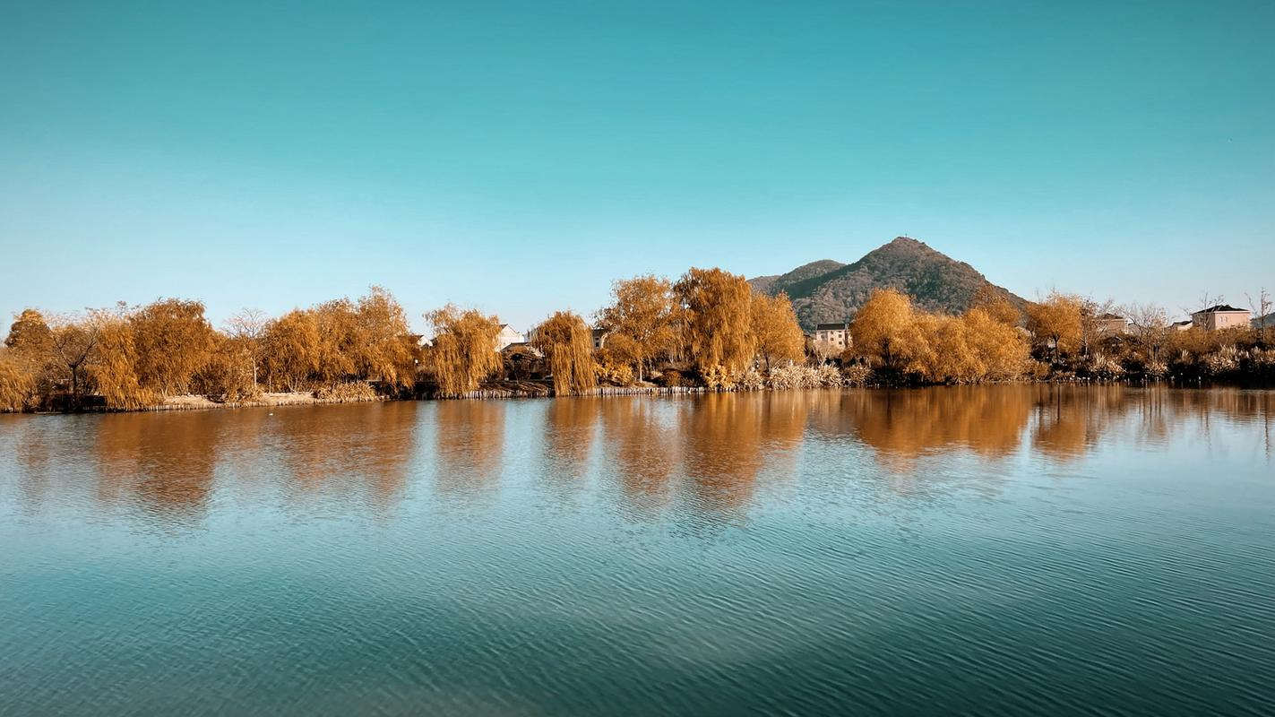 丁山有什么景点好玩(丁山美食地方特色)