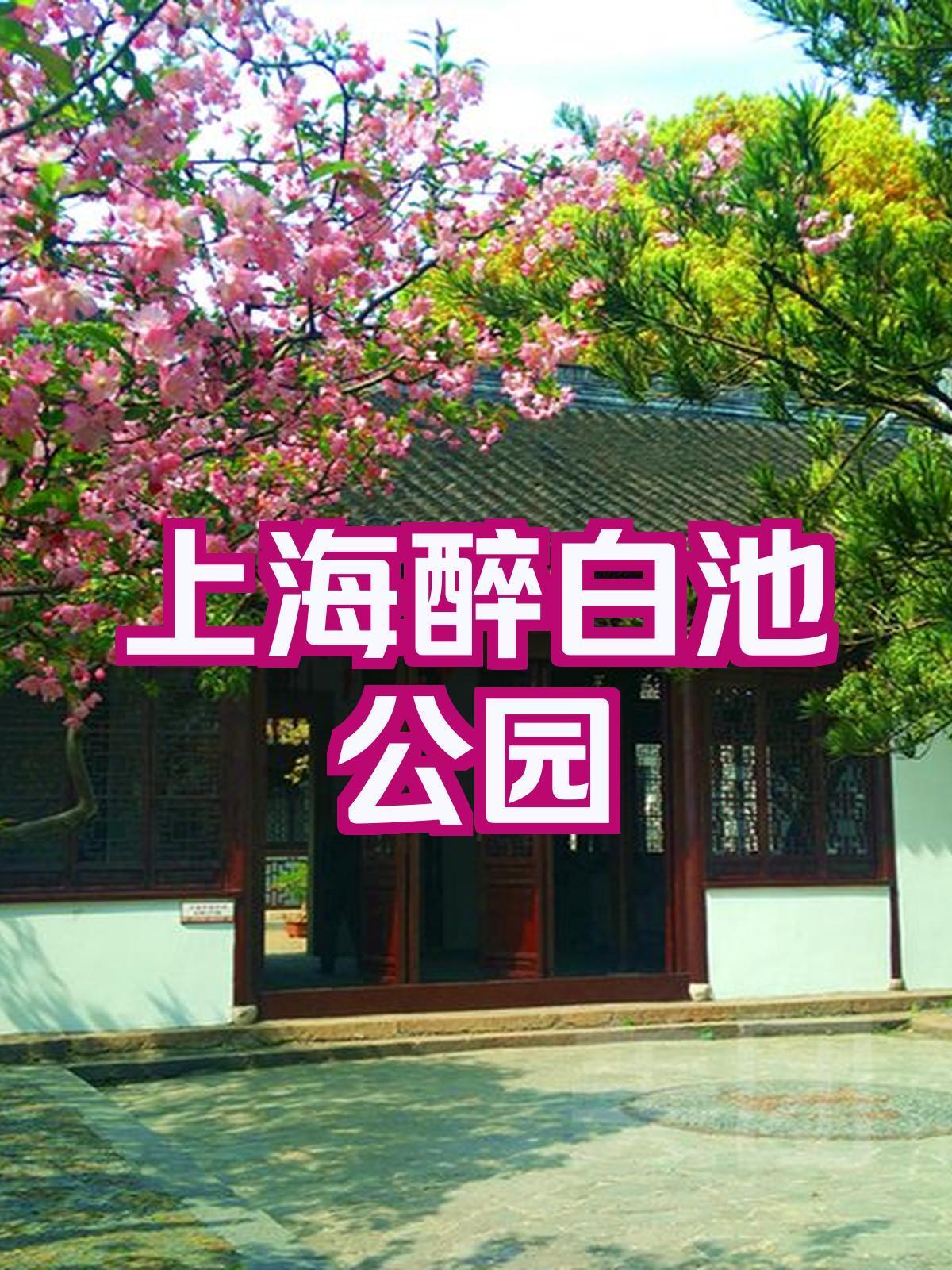 上海哪些公园不收费景点(2021年上海哪些公园免费)