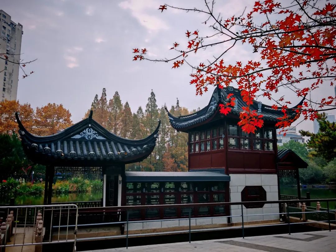 上海哪些公园不收费景点(2021年上海哪些公园免费)