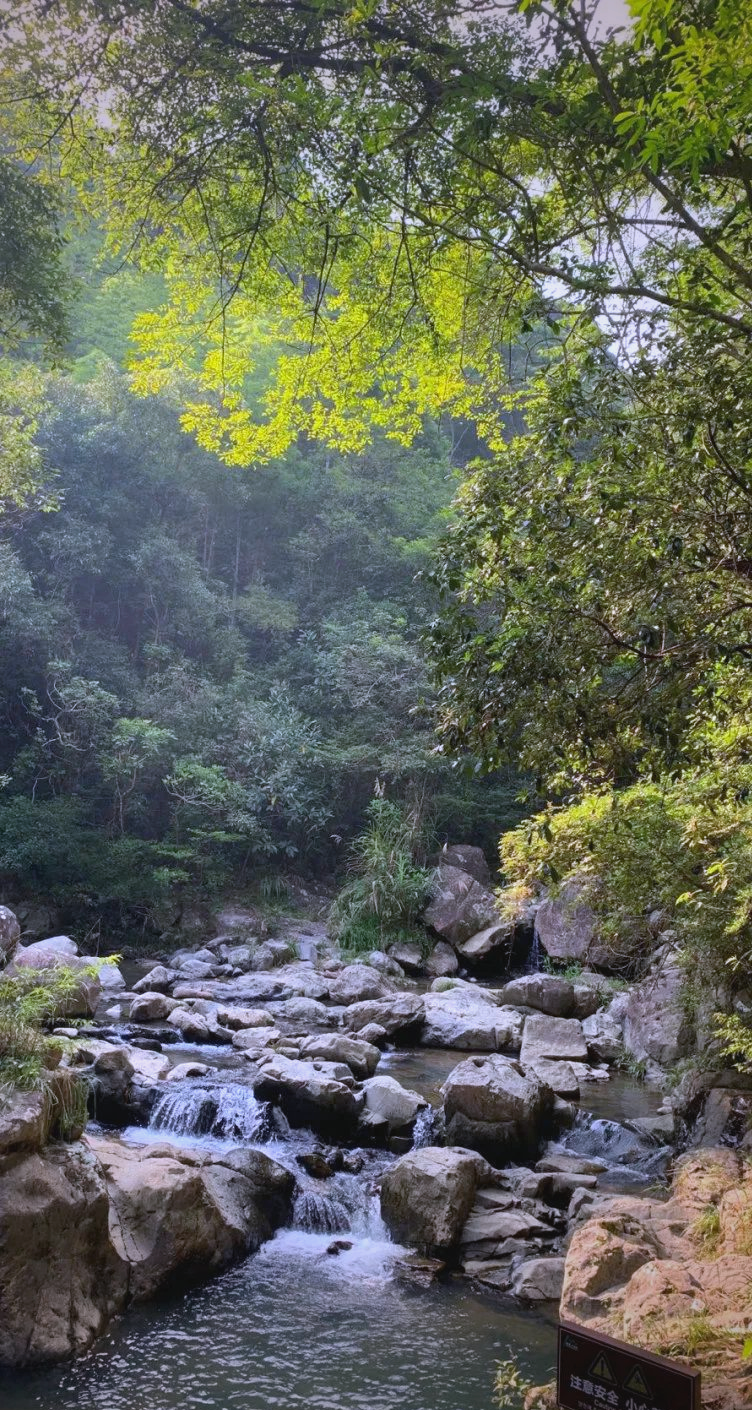 八乡山有什么景点(八乡山旅游度假区游玩攻略)