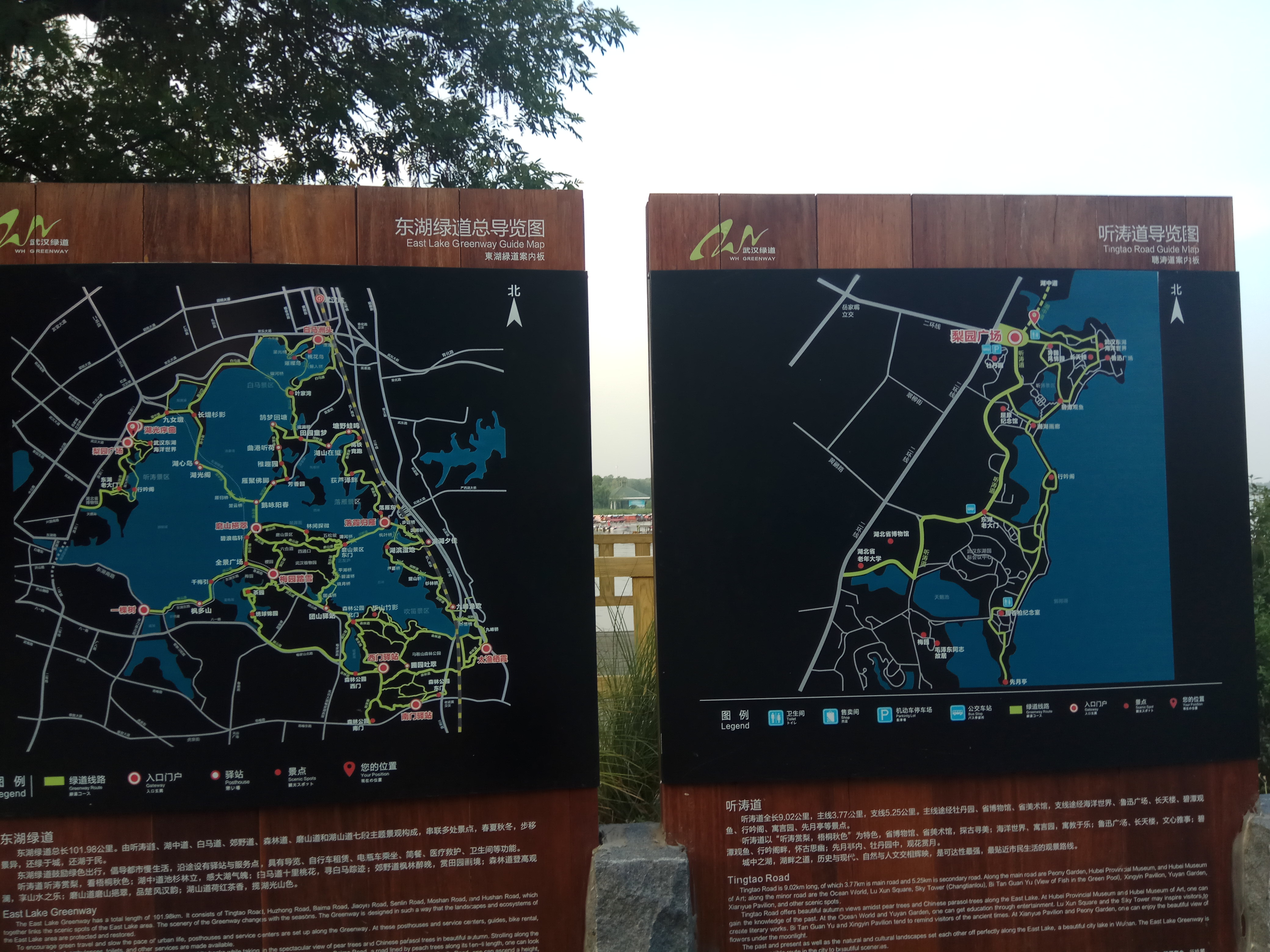 武汉东湖景区能打车吗(武汉东湖景区能打车吗现在)