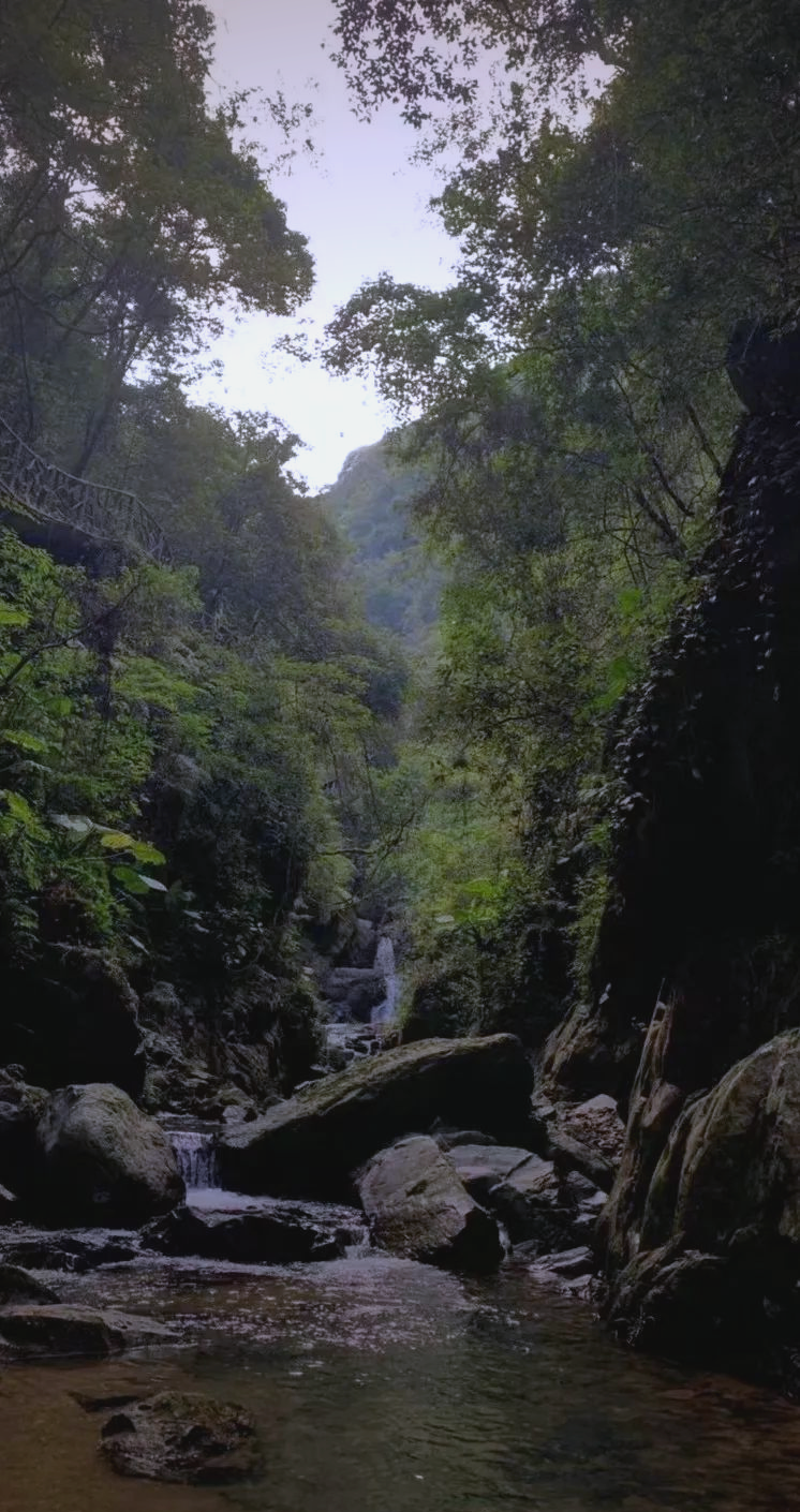 八乡山有什么景点(八乡山旅游攻略)