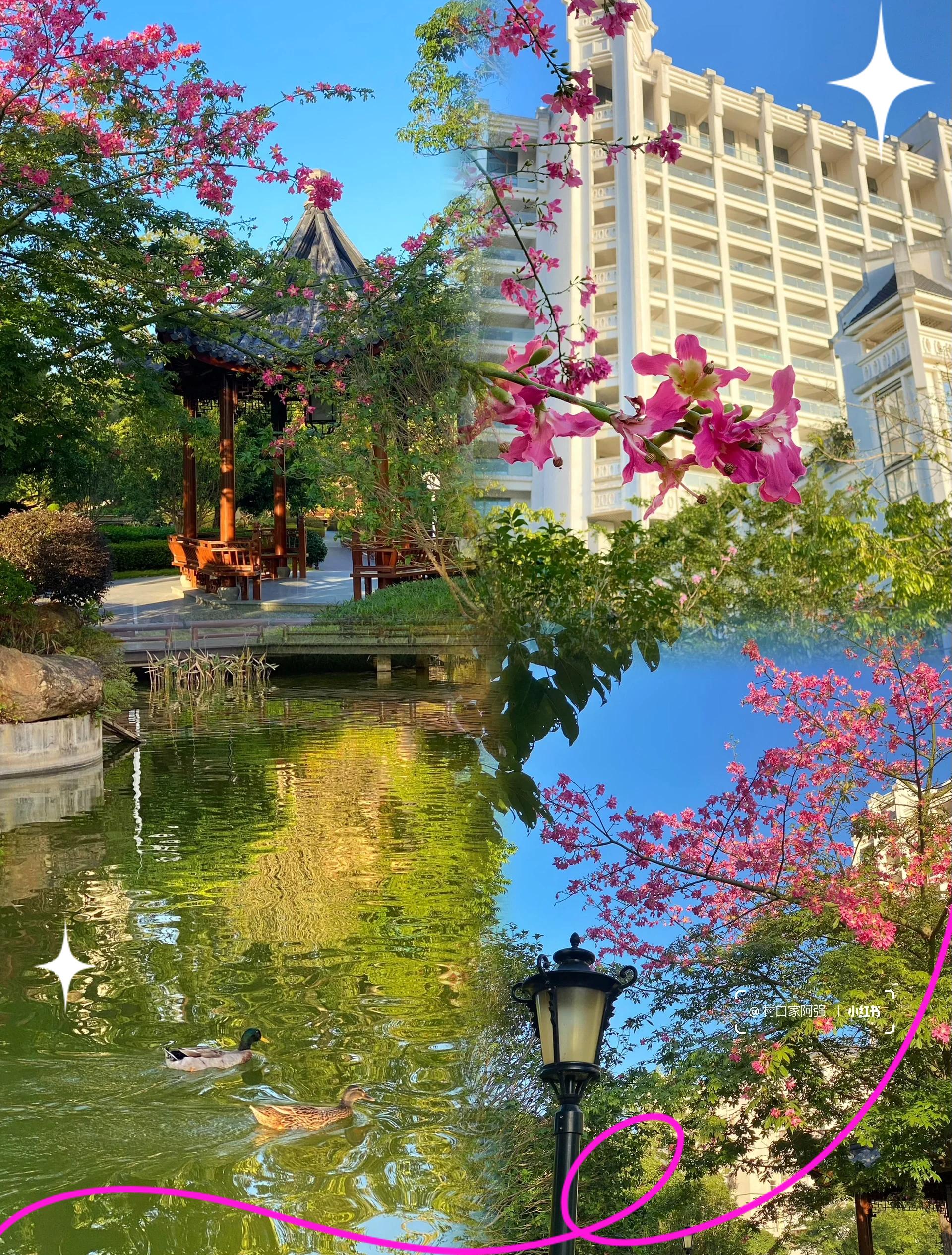 荔枝花园哪里好玩(深圳福田荔枝公园有什么玩)