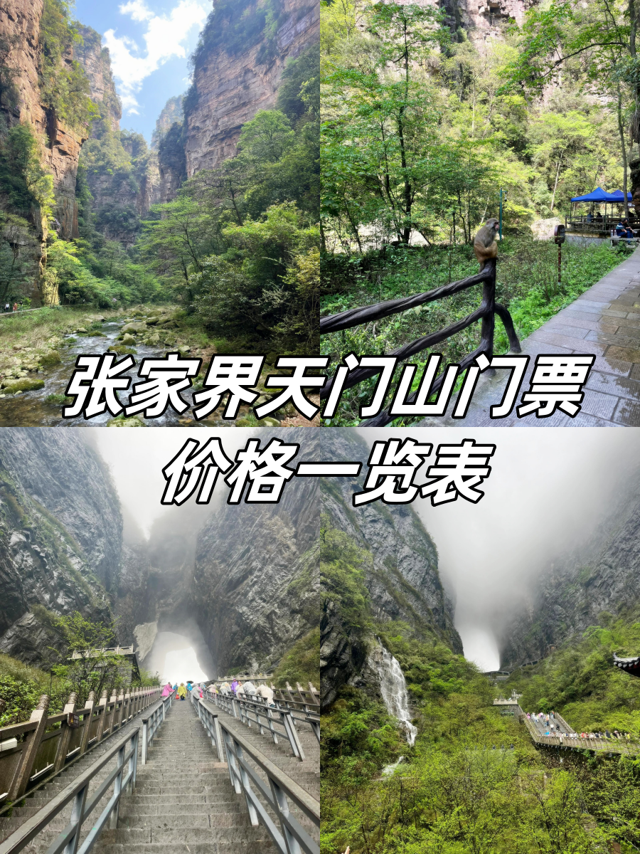 张家界门票包含哪些景点(张家界景点门票是多少)
