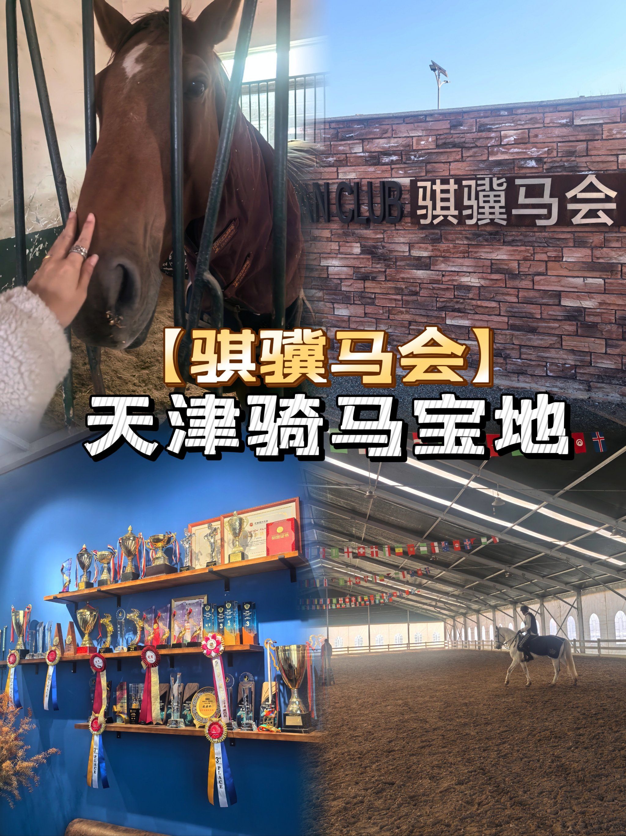 蠡县哪里赛马好玩(蠡县各村大集时间表)