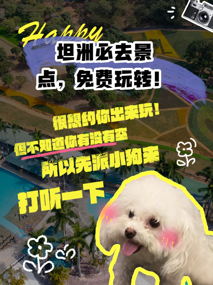 坦洲走什么景点好玩(坦洲旅游有什么地方)